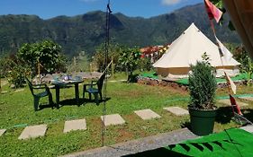 Granny'S Farm