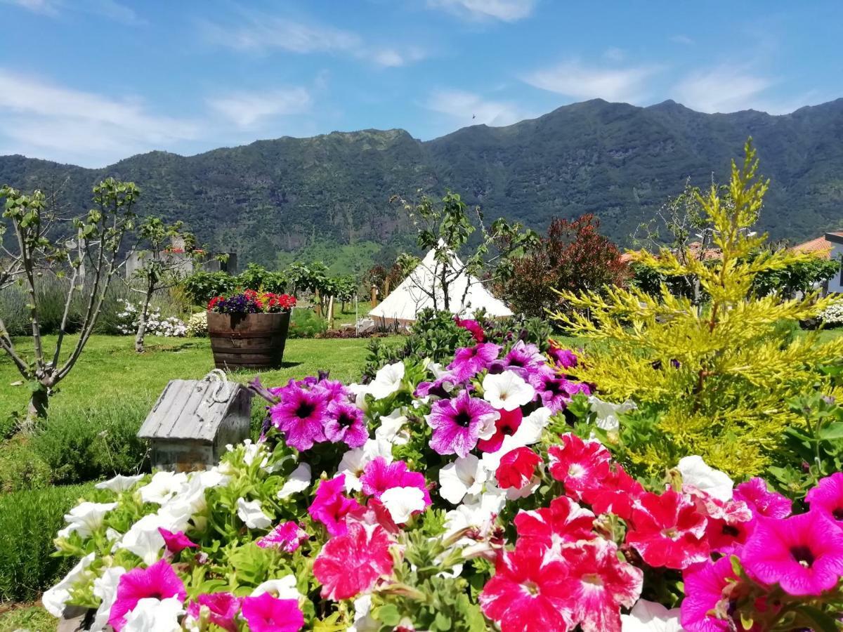 Granny'S Farm Guest House Sao Vicente  Exterior photo